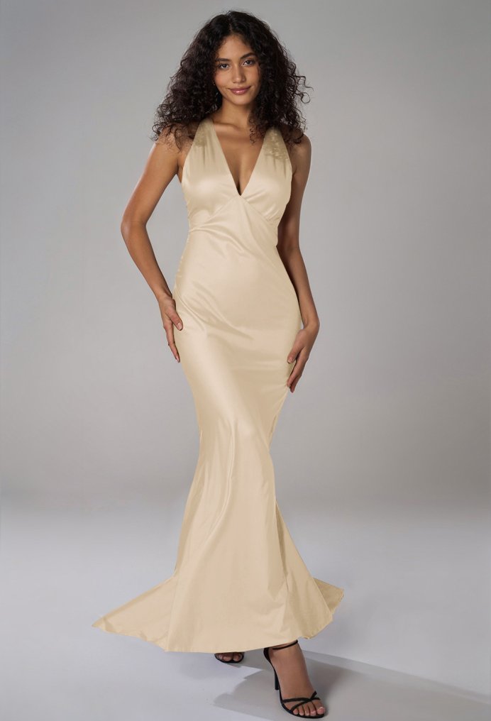 AW Devon Dress